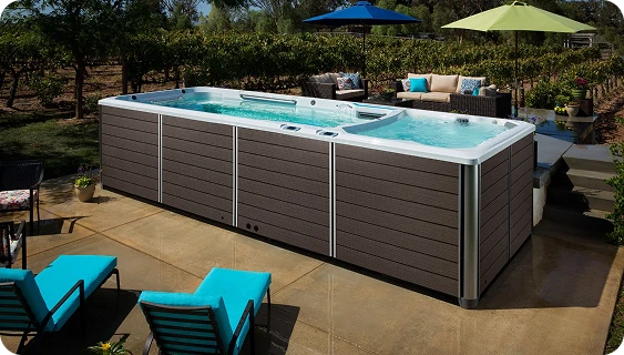 Endless Pools swim spa
