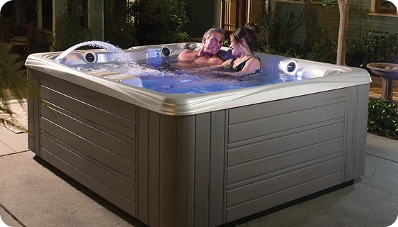 Endless Pools swim spa