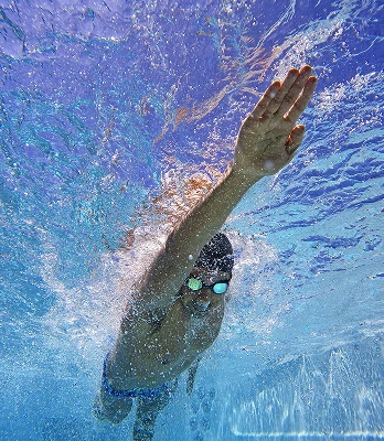 Image of E550 Swim Spa