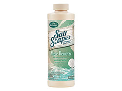 Product | BioGuard SaltScapes Algae Remover (1qt)